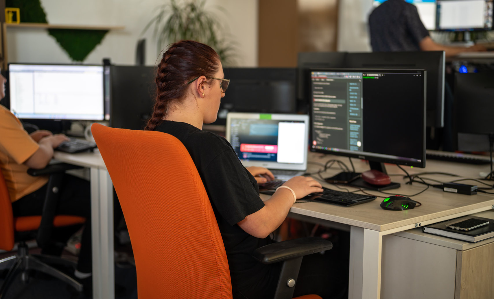 Programmer
